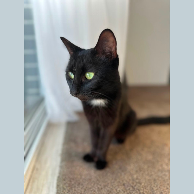 Photo of Pumpkin