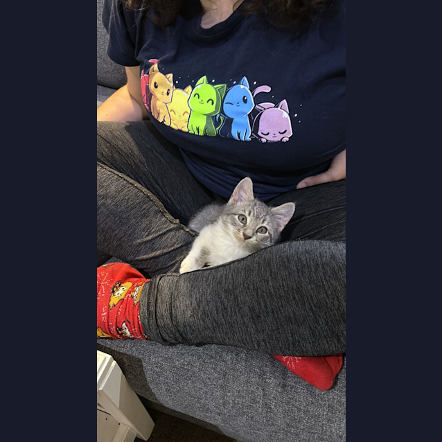 Photo of Oz