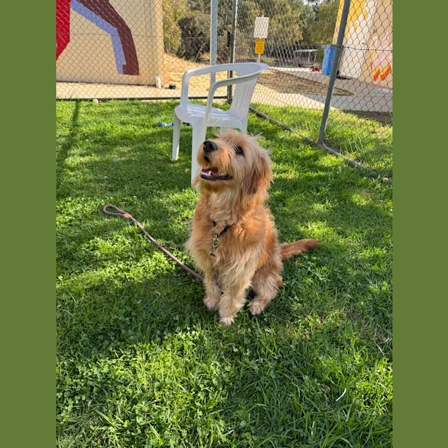 Photo of Jack