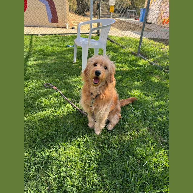 Photo of Jack