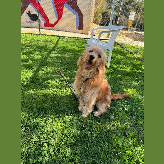 Photo of Jack