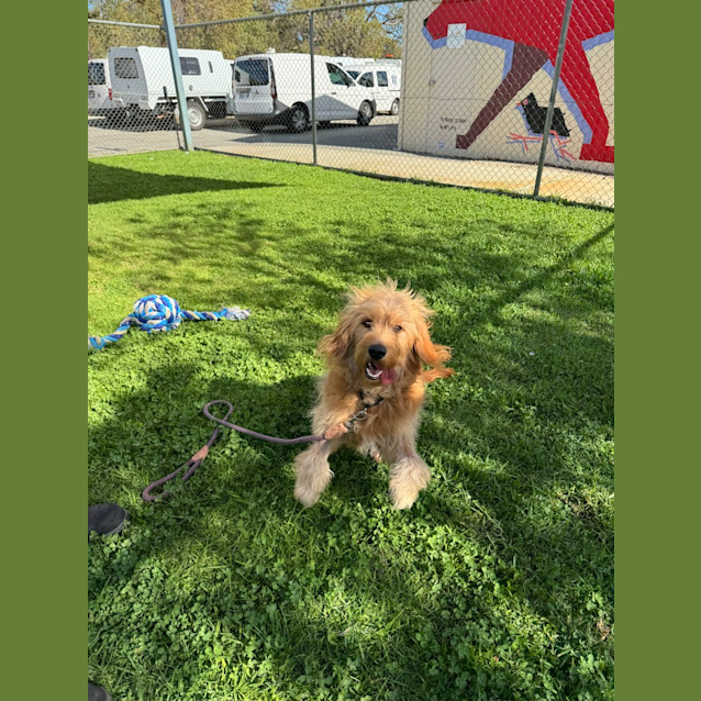 Photo of Jack