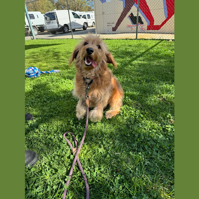 Photo of Jack