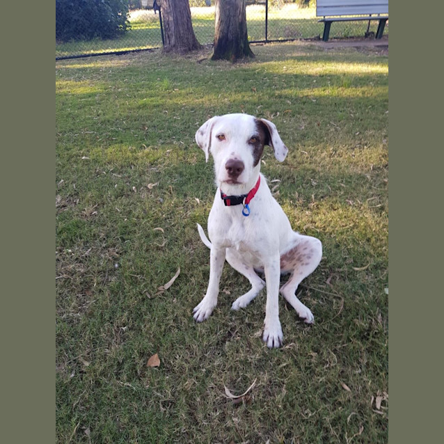 Photo of Ember