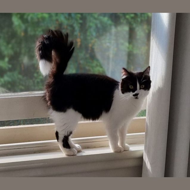 Photo of Mimi