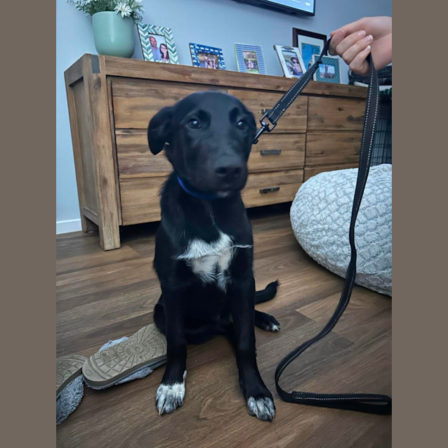 Photo of Tank