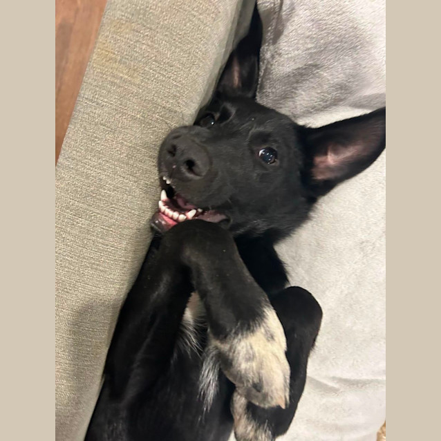 Photo of Tank