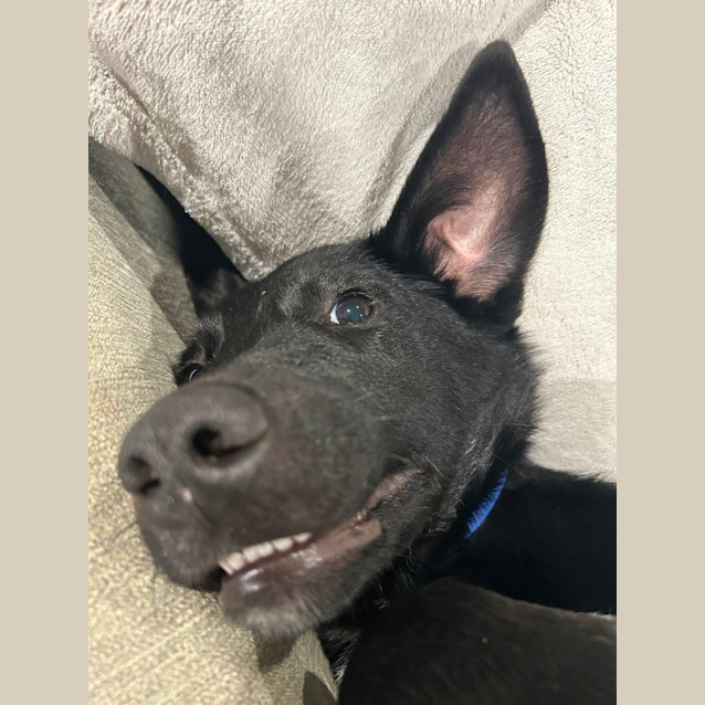 Photo of Tank
