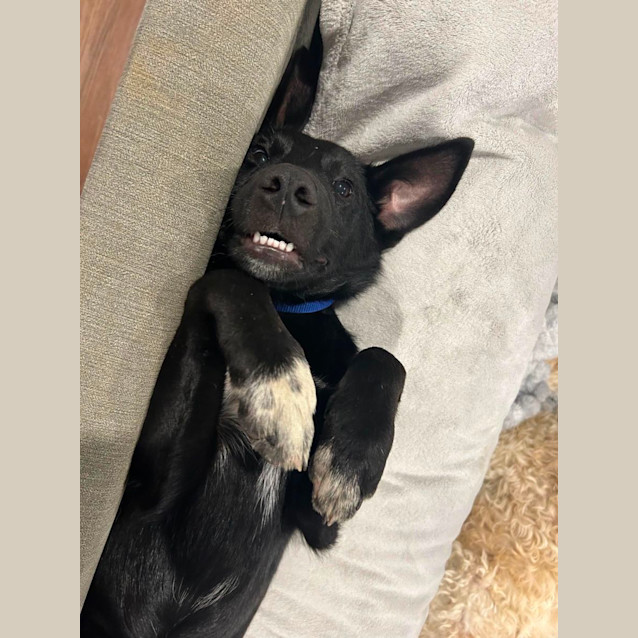 Photo of Tank