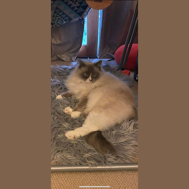 Photo of Princess Luna 