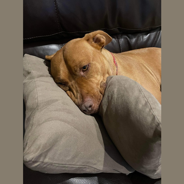 Photo of Jax