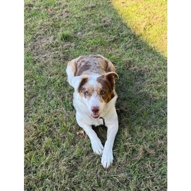 Photo of Maisy