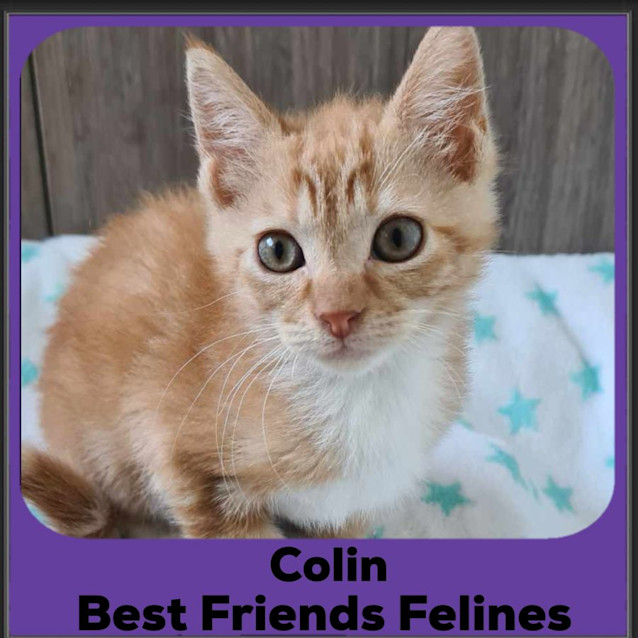 Photo of Colin 