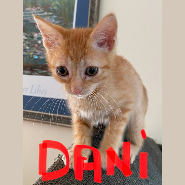Photo of Dani