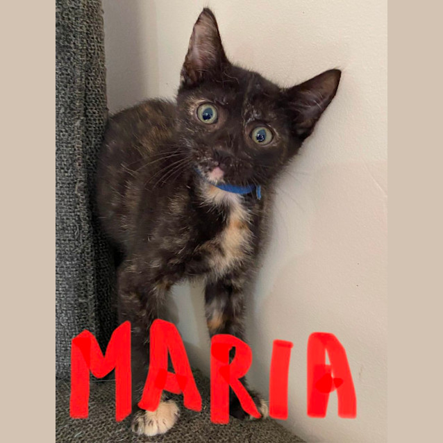 Photo of Maria