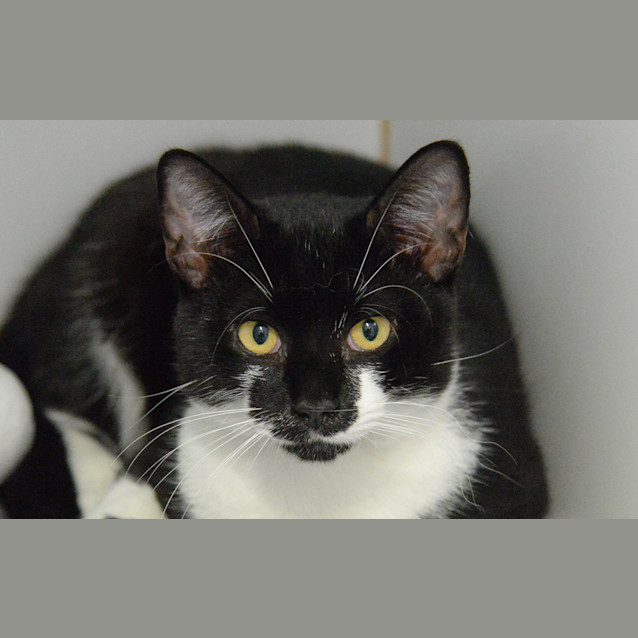 Photo of Moofy