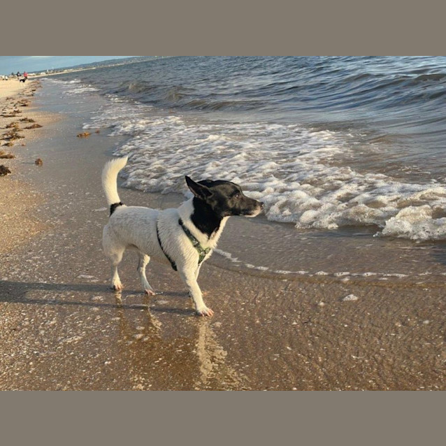 Photo of Wally Yarbury