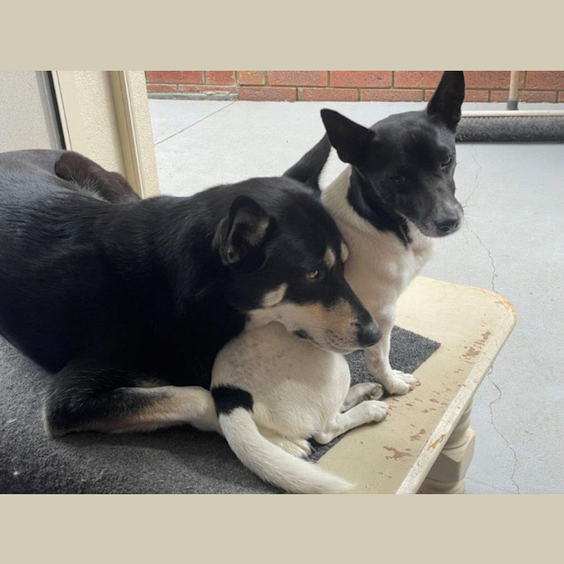 Photo of Wally Yarbury