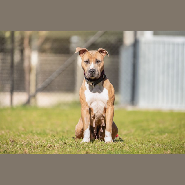 Photo of Mother Gothel Imp 270