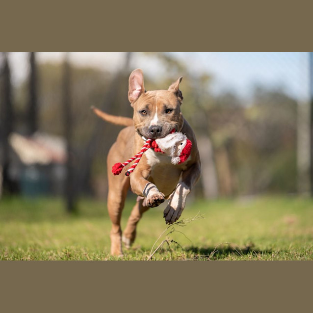 Photo of Mother Gothel Imp 270