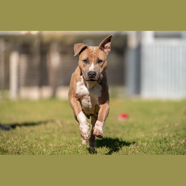 Photo of Mother Gothel Imp 270