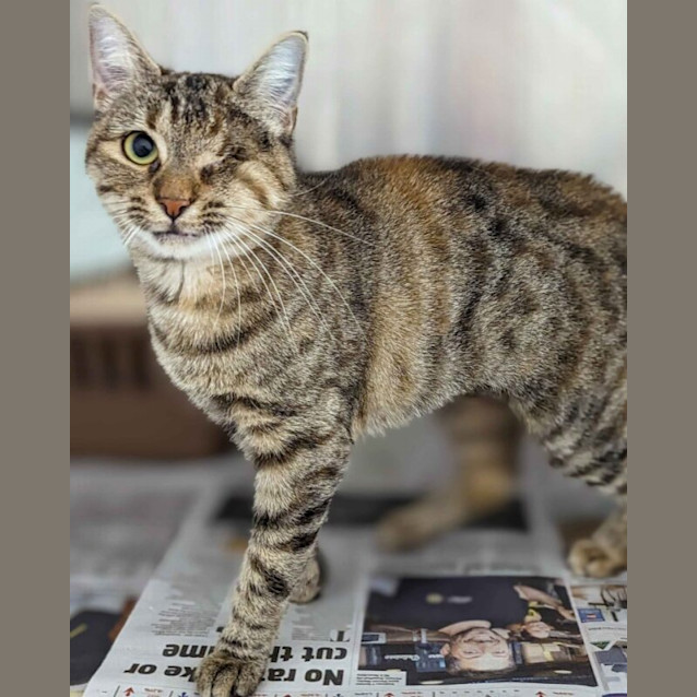 Photo of Sprinkles