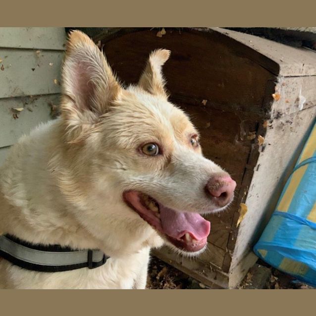 Photo of Mickey Elphinstone