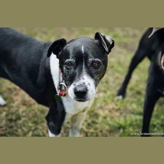 Photo of Axel And Ruby Elphinstone