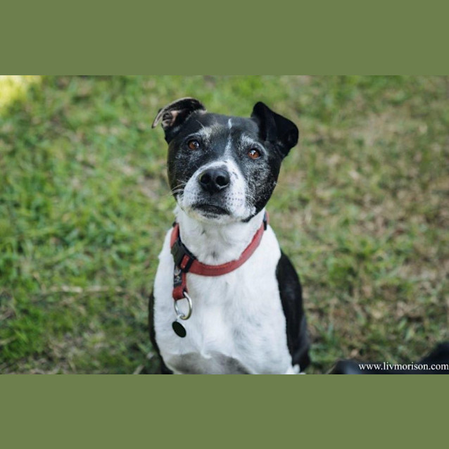 Photo of Axel And Ruby Elphinstone