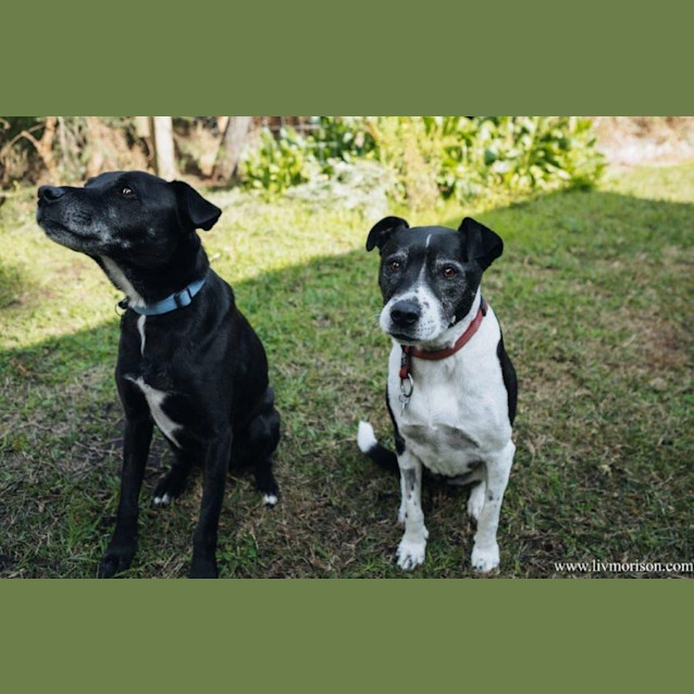 Photo of Axel And Ruby Elphinstone