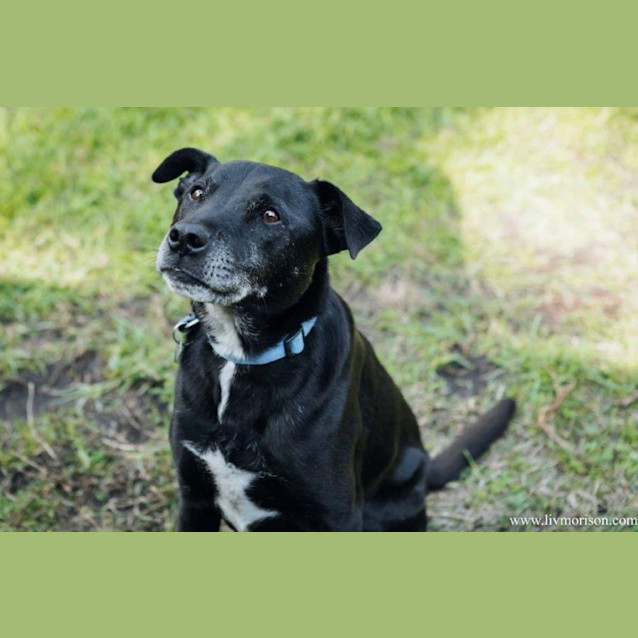 Photo of Axel Elphinstone