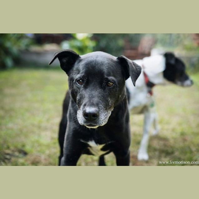 Photo of Axel Elphinstone