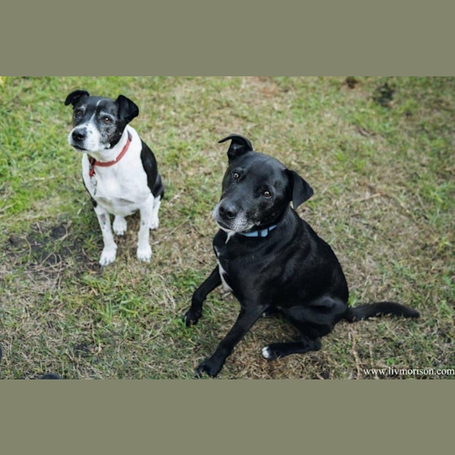 Photo of Axel Elphinstone