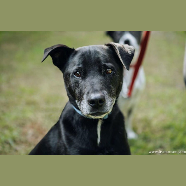 Photo of Axel Elphinstone