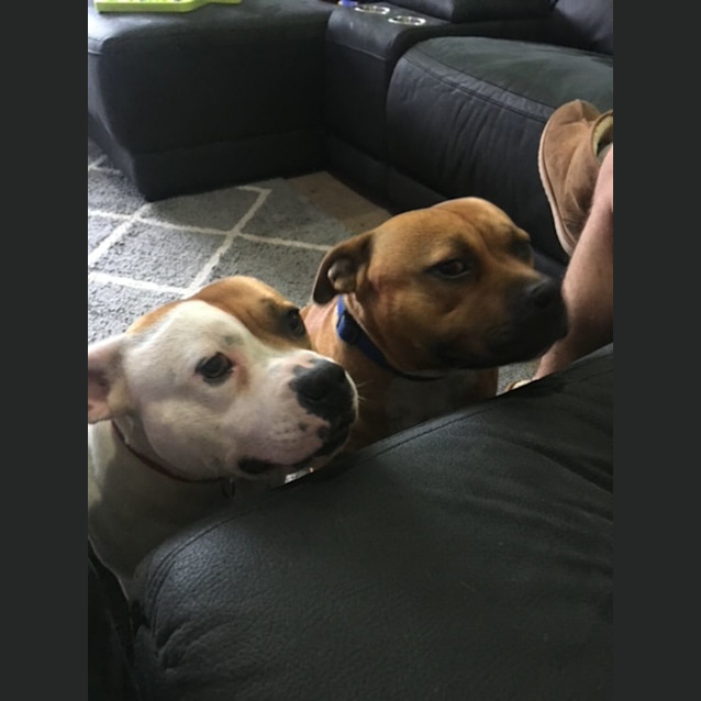 Photo of Crippa And Toodles