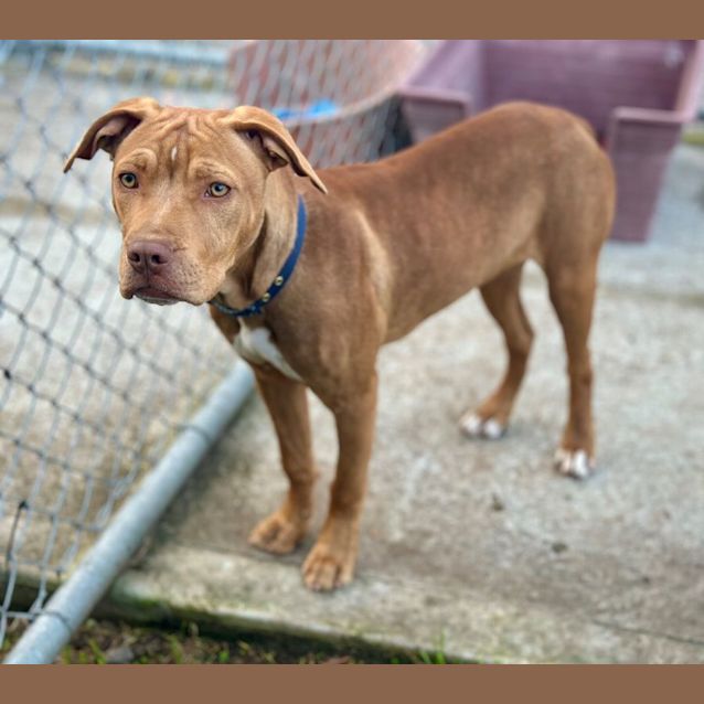 Photo of Zeus
