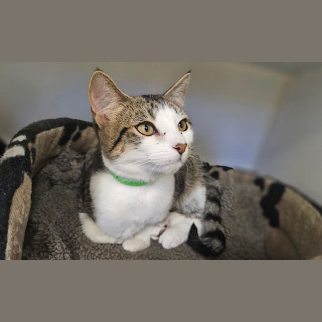 Photo of Kiki