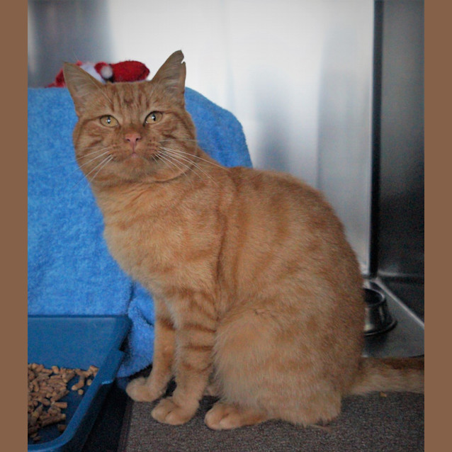 Photo of Gus