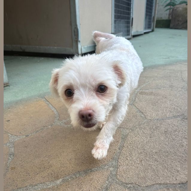Photo of Maggie