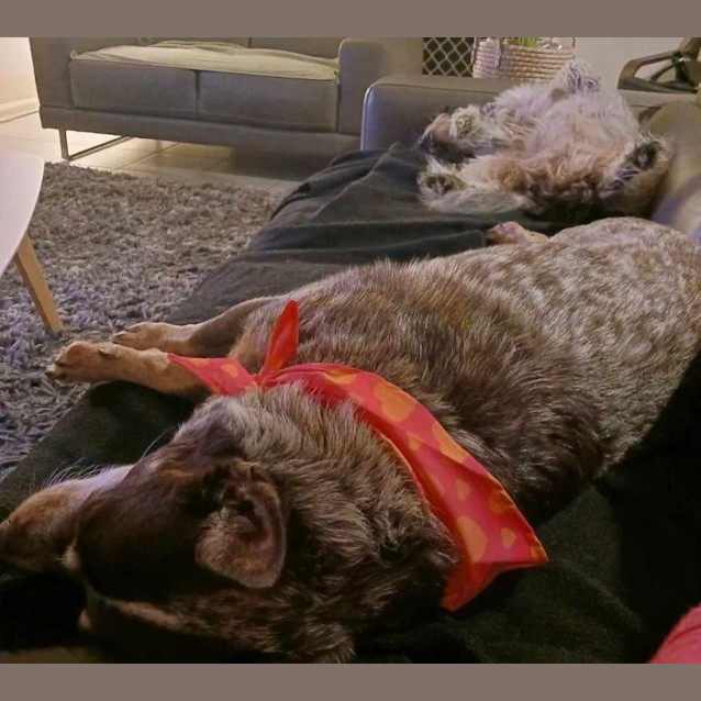 Photo of Lockie & Krystal