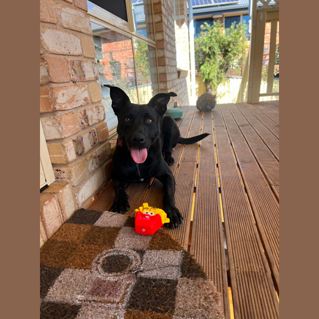 Photo of Jet
