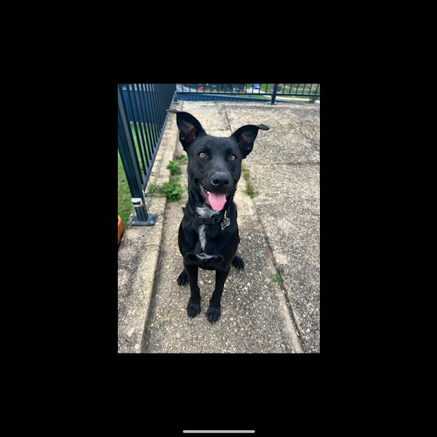 Photo of Jet