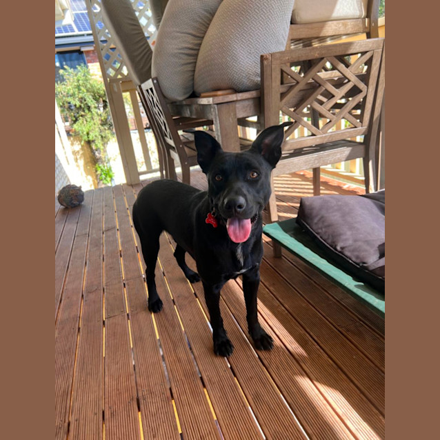 Photo of Jet