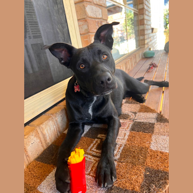 Photo of Jet