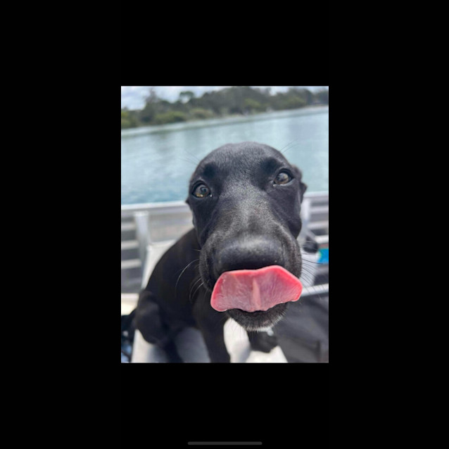 Photo of Jet