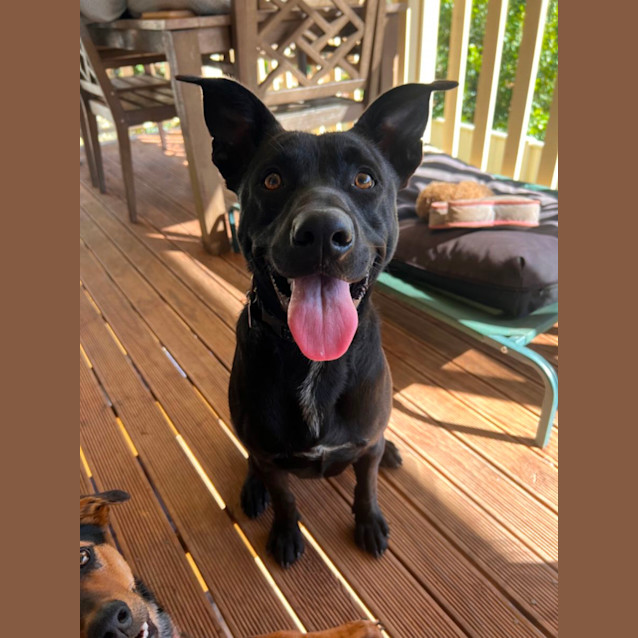 Photo of Jet