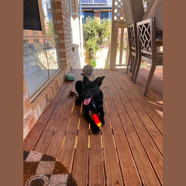 Photo of Jet