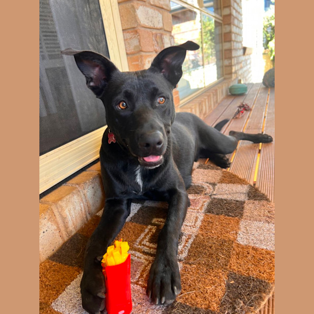 Photo of Jet
