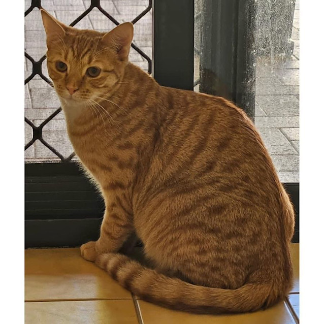 Photo of 10437   Douglas