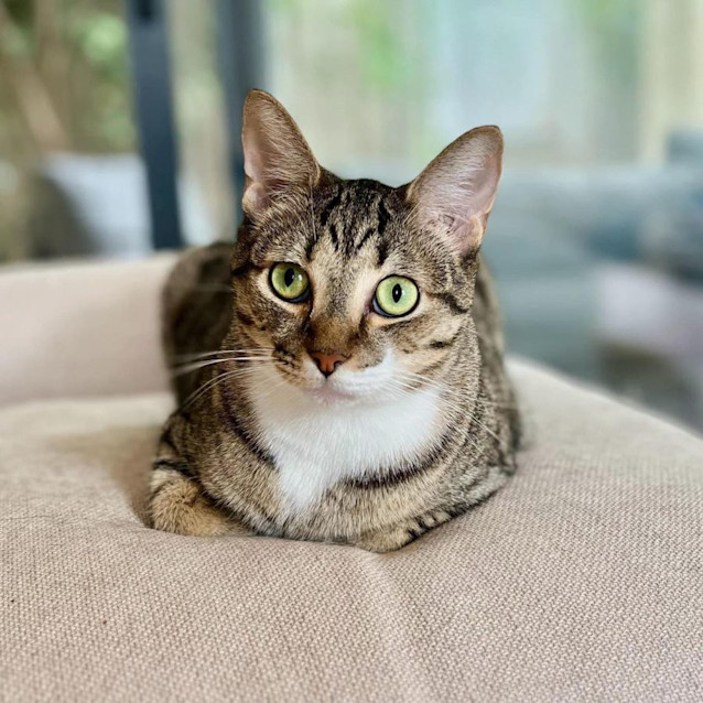 Photo of 9358   Sherman